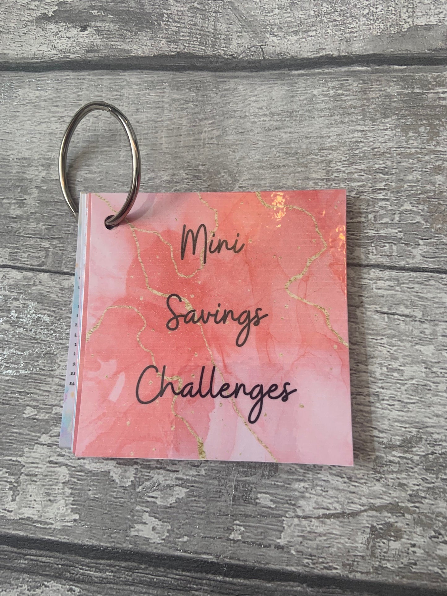 Mini Savings Challenge Set